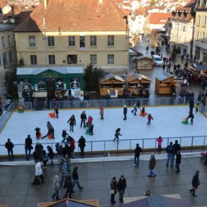 patinoire synthétique d'occasion