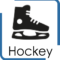 patinoire synthetique patins hockey